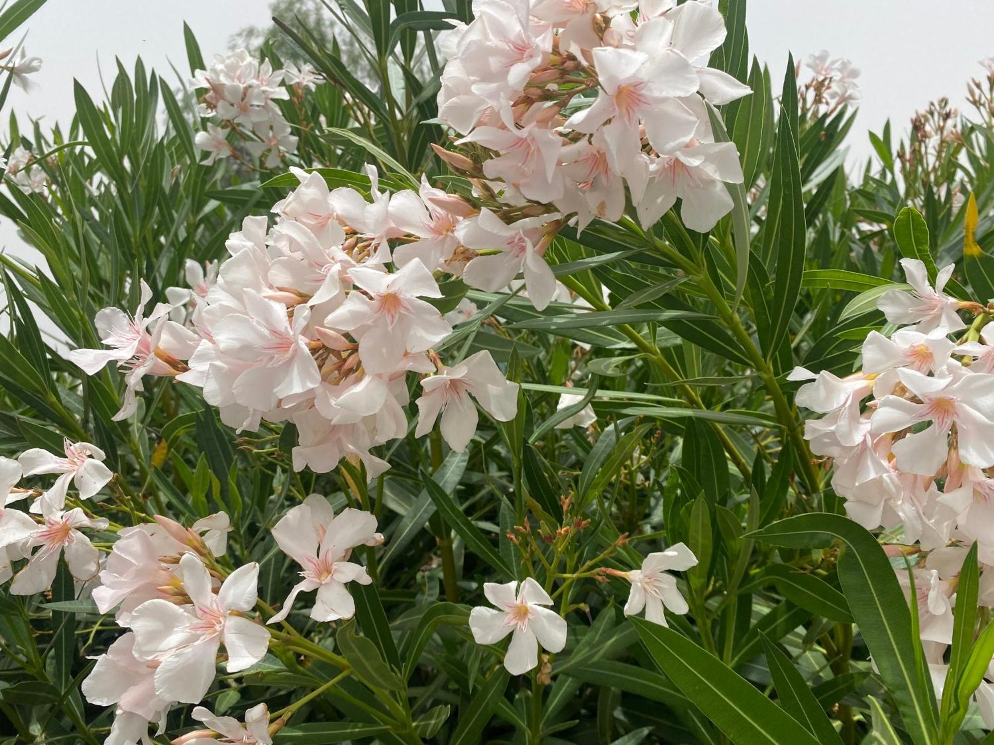 라스팔마스 El Rincon De Valentina 4B 아파트 외부 사진