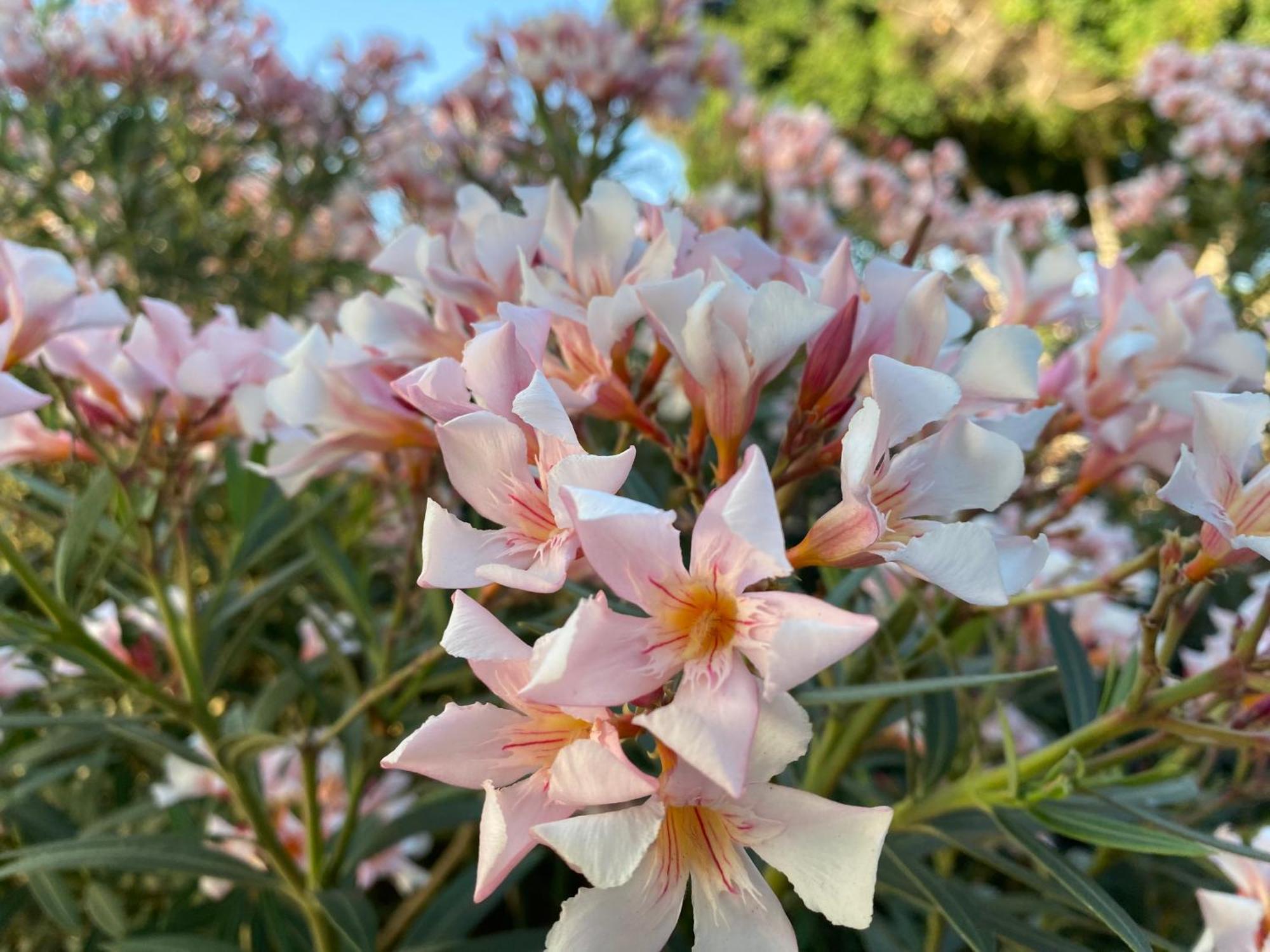 라스팔마스 El Rincon De Valentina 4B 아파트 외부 사진